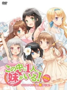 دانلود انیمه Kono Naka ni Hitori, Imouto ga Iru!: Ani, Imouto, Koibito